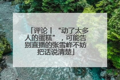评论丨“动了太多人的蛋糕”，可能告别直播的张雪峰不妨把话说清楚