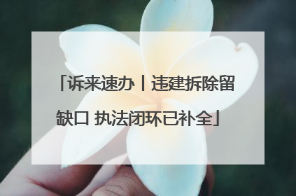 诉来速办丨违建拆除留缺口 执法闭环已补全