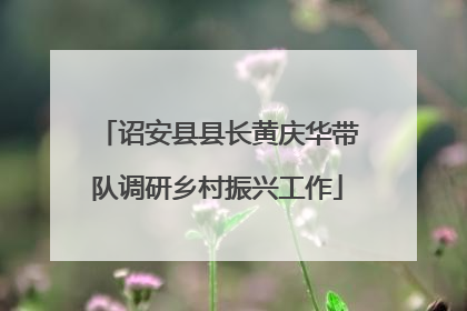 诏安县县长黄庆华带队调研乡村振兴工作