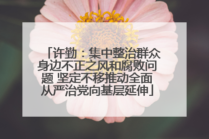 许勤：集中整治群众身边不正之风和腐败问题 坚定不移推动全面从严治党向基层延伸