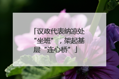议政代表纳凉处“坐班”，架起基层“连心桥”