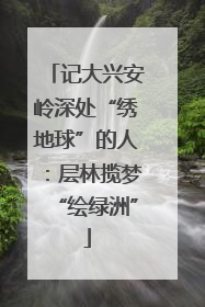 记大兴安岭深处“绣地球”的人：层林揽梦“绘绿洲”