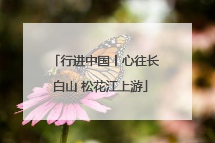 行进中国丨心往长白山 松花江上游