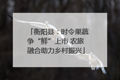 衡阳县：时令果蔬争“鲜”上市 农旅融合助力乡村振兴