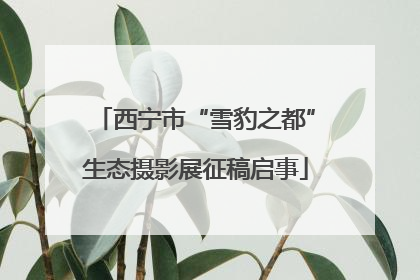 西宁市“雪豹之都”生态摄影展征稿启事
