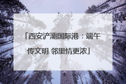 西安浐灞国际港：端午传文明 邻里情更浓