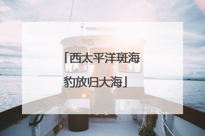 西太平洋斑海豹放归大海