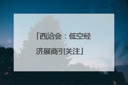 西洽会：低空经济展商引关注