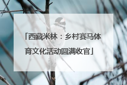西藏米林：乡村赛马体育文化活动圆满收官