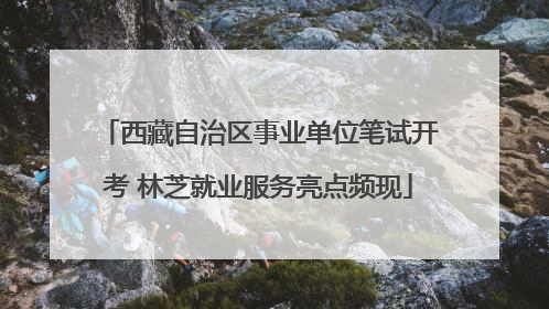 西藏自治区事业单位笔试开考 林芝就业服务亮点频现