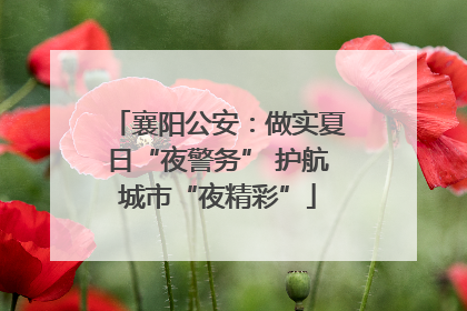 襄阳公安：做实夏日“夜警务” 护航城市“夜精彩”