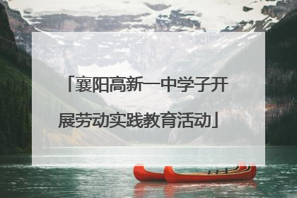 襄阳高新一中学子开展劳动实践教育活动