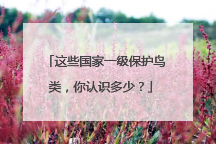 这些国家一级保护鸟类，你认识多少？