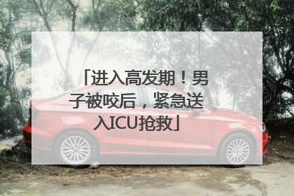 进入高发期！男子被咬后，紧急送入ICU抢救