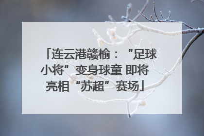 连云港赣榆：“足球小将”变身球童 即将亮相“苏超”赛场