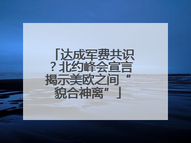 达成军费共识？北约峰会宣言揭示美欧之间“貌合神离”