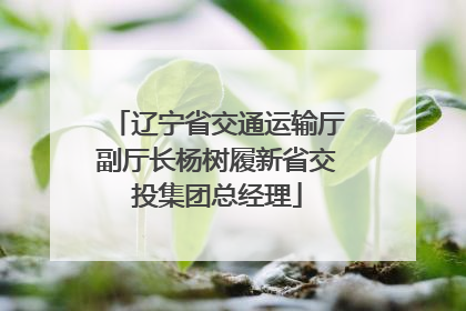辽宁省交通运输厅副厅长杨树履新省交投集团总经理
