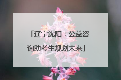 辽宁沈阳：公益咨询助考生规划未来