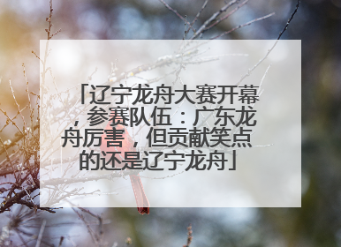 辽宁龙舟大赛开幕，参赛队伍：广东龙舟厉害，但贡献笑点的还是辽宁龙舟