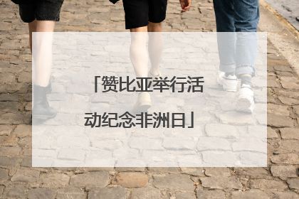 赞比亚举行活动纪念非洲日