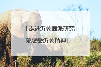 走进沂蒙画派研究院感受沂蒙精神