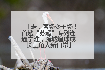 走，客场变主场！首趟“苏超”专列连通宁淮，跨城追球成长三角人新日常