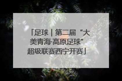 足球｜第二届“大美青海·高原足球”超级联赛西宁开赛