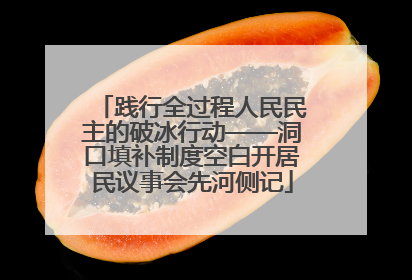 践行全过程人民民主的破冰行动——洞口填补制度空白开居民议事会先河侧记