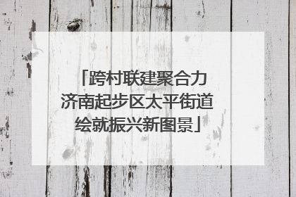 跨村联建聚合力 济南起步区太平街道绘就振兴新图景