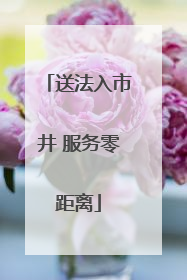 送法入市井 服务零距离