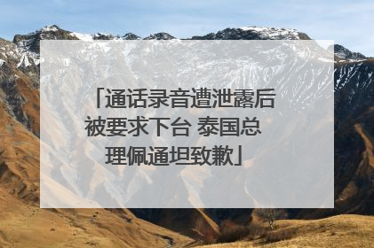 通话录音遭泄露后被要求下台 泰国总理佩通坦致歉