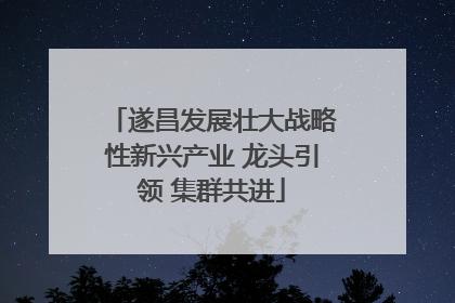 遂昌发展壮大战略性新兴产业 龙头引领 集群共进