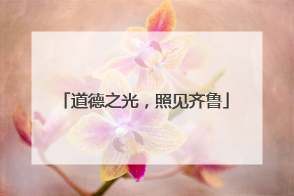 道德之光，照见齐鲁