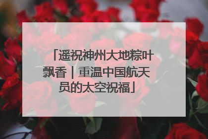 遥祝神州大地粽叶飘香｜重温中国航天员的太空祝福