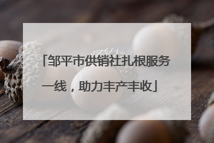 邹平市供销社扎根服务一线，助力丰产丰收