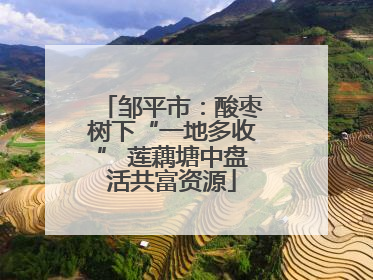 邹平市：酸枣树下“一地多收” 莲藕塘中盘活共富资源