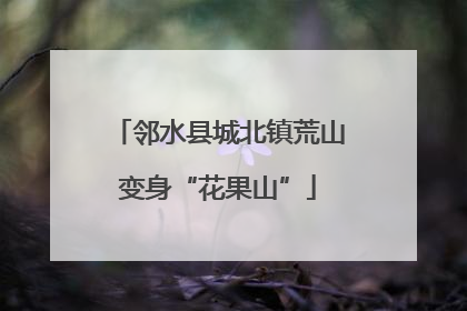 邻水县城北镇荒山变身“花果山”