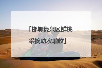邯郸复兴区鲜桃采摘助农增收