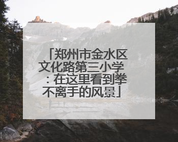 郑州市金水区文化路第三小学：在这里看到拳不离手的风景