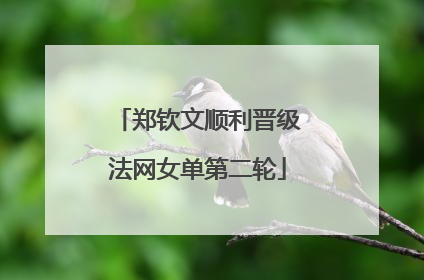 郑钦文顺利晋级法网女单第二轮