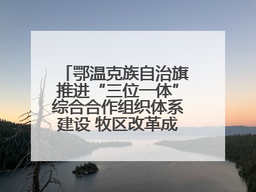 鄂温克族自治旗推进“三位一体”综合合作组织体系建设 牧区改革成果丰硕