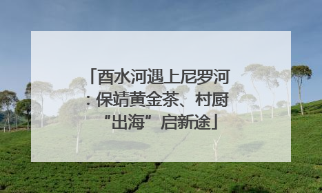 酉水河遇上尼罗河：保靖黄金茶、村厨“出海”启新途