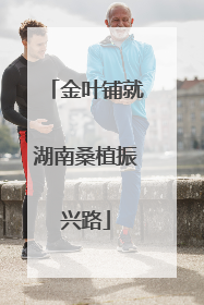 金叶铺就湖南桑植振兴路