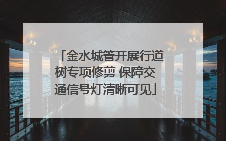 金水城管开展行道树专项修剪 保障交通信号灯清晰可见