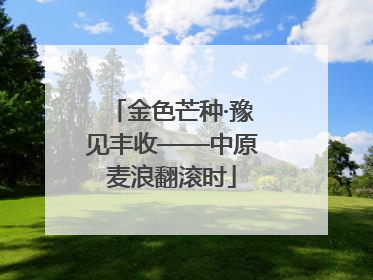 金色芒种·豫见丰收——中原麦浪翻滚时
