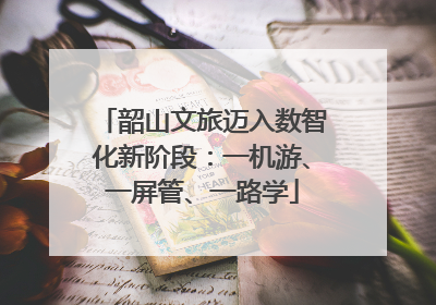 韶山文旅迈入数智化新阶段：一机游、一屏管、一路学