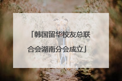 韩国留华校友总联合会湖南分会成立
