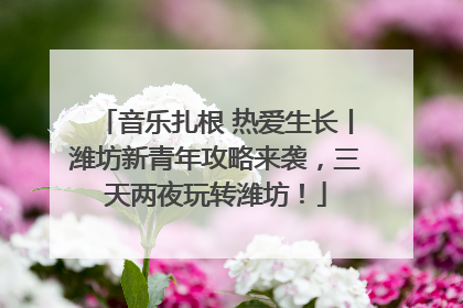 音乐扎根 热爱生长丨潍坊新青年攻略来袭，三天两夜玩转潍坊！