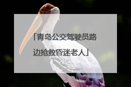青岛公交驾驶员路边抢救昏迷老人