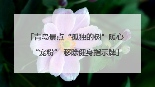 青岛景点“孤独的树”暖心“宠粉” 移除健身指示牌